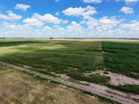 VENDE 13.5 HAS VT ACCESO POR RN Nº 33 y RN Nº 8