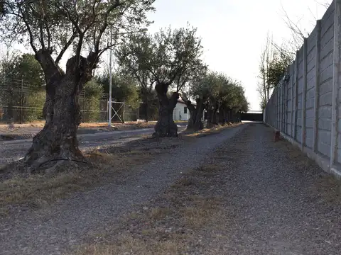 LOTES EN VENTA - MAIPÚ