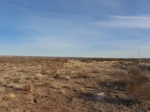 R22 entre Senillosa y Arroyito