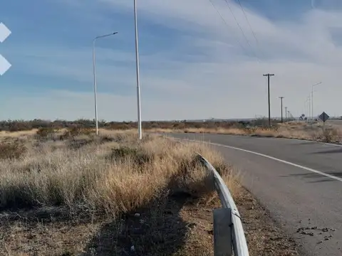 Campo en  Senillosa