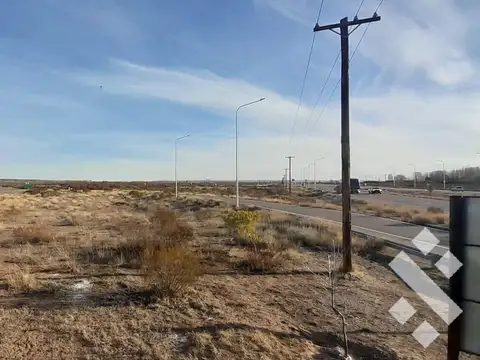 Campo en  Senillosa