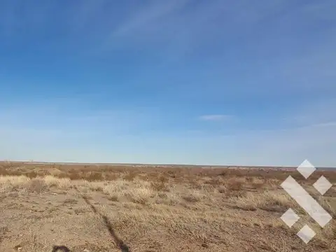 Campo en  Senillosa