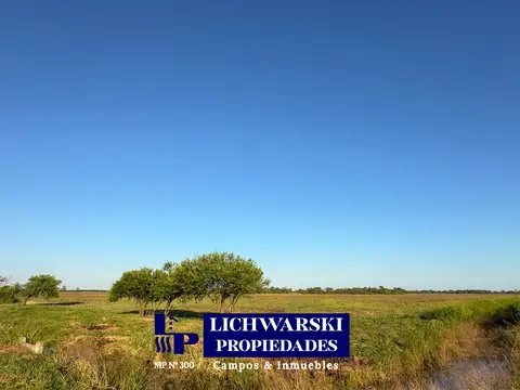 VENTA CAMPO 100 HECTÁREAS | US$6.500/HA. | SOBRE VÍA, IDEAL PARA PLANTAS DE SILO | Las Breñas, Chaco