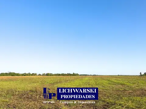 Campo en Venta de 100  ha