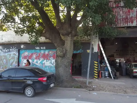 COLECTORA ESTE Y SPADACCINI 600