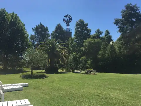 Lobos Ruta 41 km 167