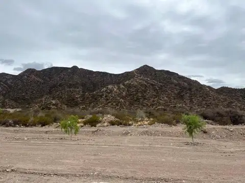 Terreno en Venta 19,97  mts Frente