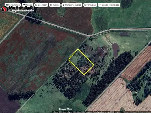 Campo en venta en Miramar 3 Hectáreas y medias