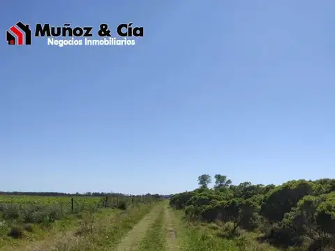 Campo en venta en Miramar 3 Hectáreas y medias