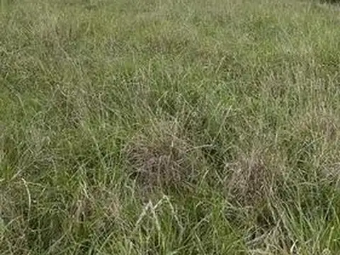 Ruta 2 KM 206