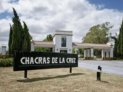 Lote 205 200
