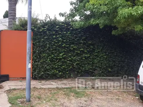 (A) Padilla al 300
