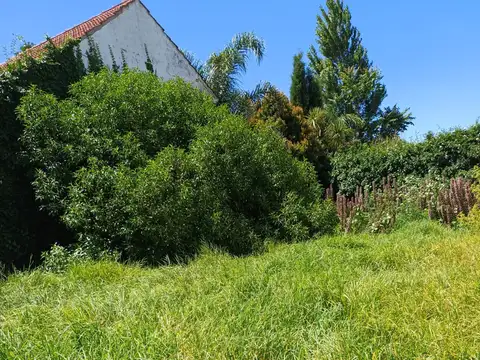 Terreno en Venta 10  mts Frente