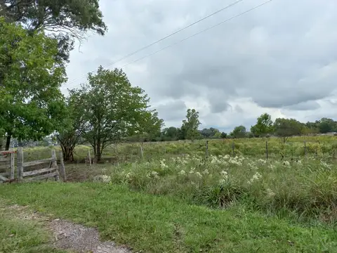 ruta al 100