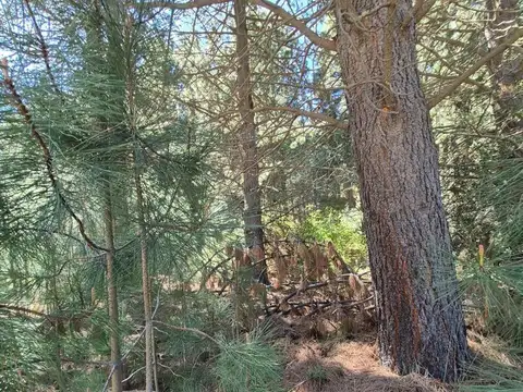 Lote En Chapelco Golf Resort, Con Posibilidad De Financiación
