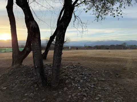 Terreno en Venta 24  mts Frente