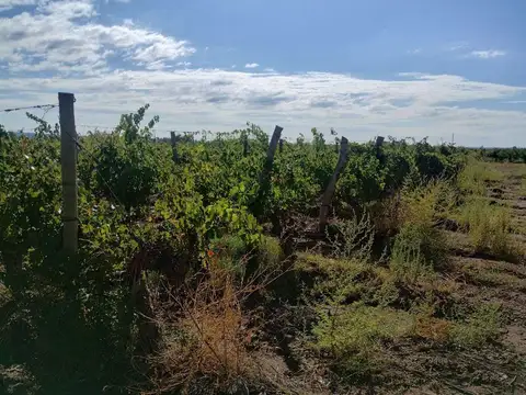 Ruta 40 Vieja