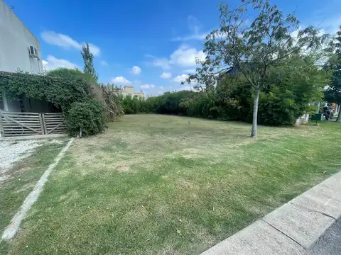 La Cañada de Pilar, Los Tilos