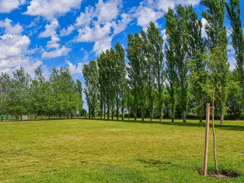 Terreno en Venta 37  mts Fondo