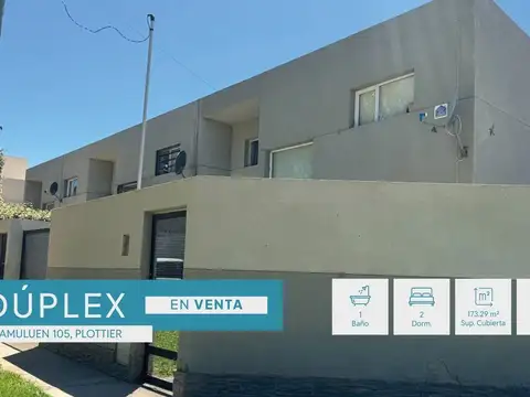 VENTA DÚPLEX 2 DORMITORIOS, AMULUEN 105, PLOTTIER