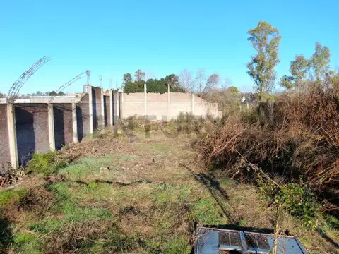 FREIRE 3100