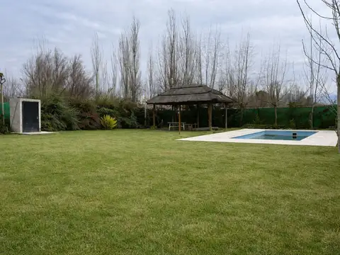 Mariani 9800