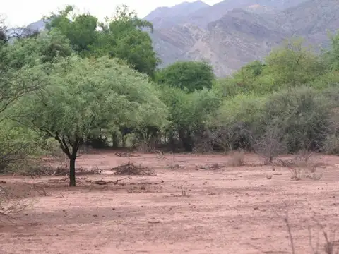 Terreno en Venta de 19000,0 m2