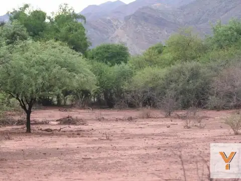 Terreno en Venta de 19000,0 m2