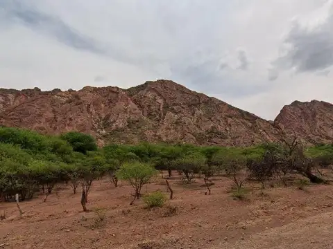 Terreno en Venta en Rio Alemania, USD 35.000