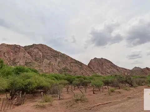 Terreno en Venta de 19000,0 m2