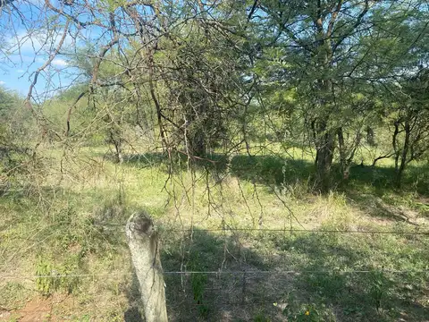 Campo ganadero en Fortín Olmos