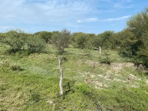 Campo ganadero en Fortín Olmos