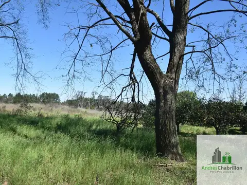 Terreno en venta de 34.400m2 zona Aeroclub Concordia