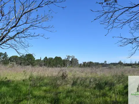 Terreno en Venta 320  mts Fondo
