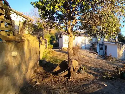 Mexico 100