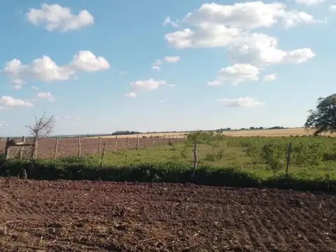 Consultar dirección