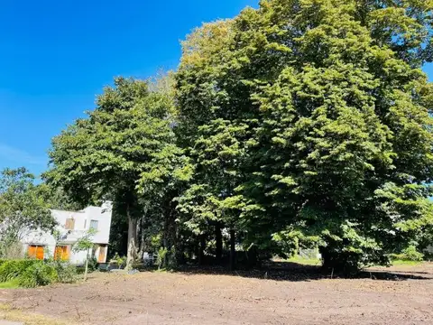Venta de terreno en Sierra de los Padres - Ricardo entre Noemí y Tulio - Mar del Plata