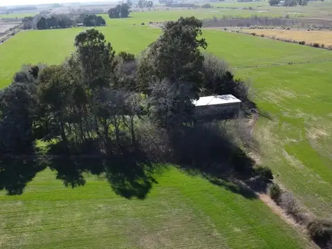 Campo de 12 ha en Las Chacras