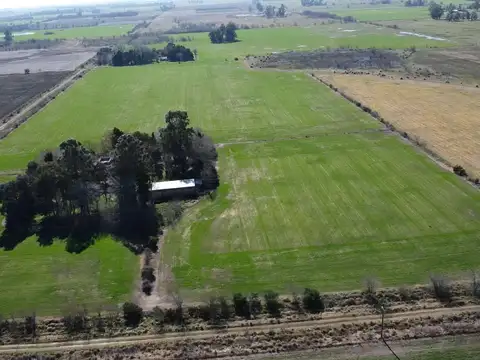 Campo de 12 ha en Las Chacras