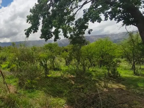 Terreno en Venta en Cerro De Oro, USD 37.000