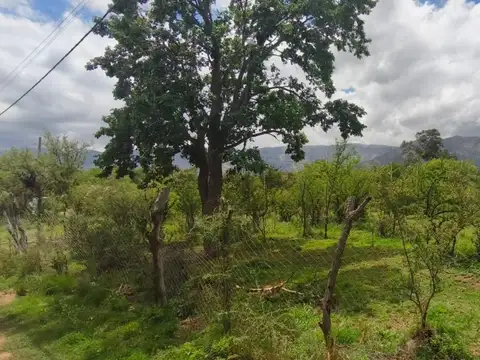 El Llantén