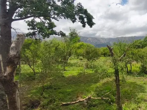 Terreno en Venta en Cerro De Oro, USD 37.000