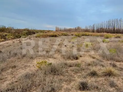 Calle sin Nombre S/N