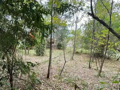 Terreno en Venta 37  mts Fondo