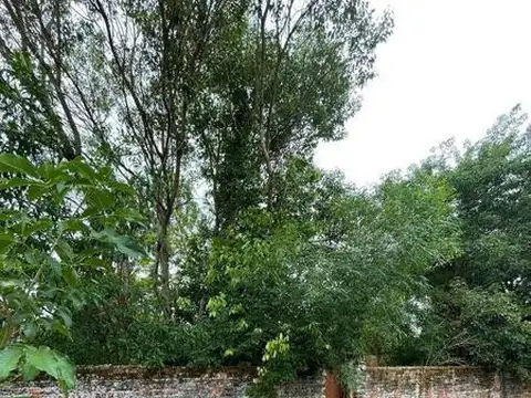 Terreno en Venta 22  mts Frente