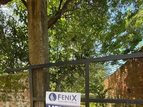 GEORGIAS DEL SUR Y CAPITAN GIACHINO 1000