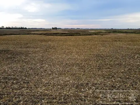 Campo en venta de 381 has en 9 de Julio