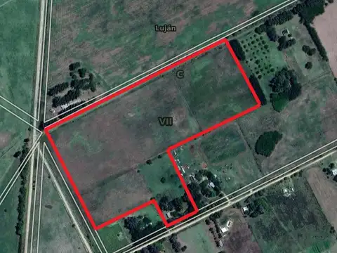 El Tordo e/ El Pica Flor y El Cardenal