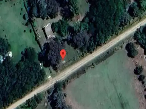 El Tordo e/ El Pica Flor y El Cardenal