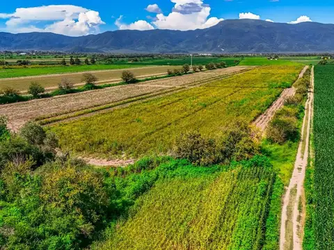 CAMPO VENTA 36 HECTAREAS RUTA 21 IDEAL PARA LOTEO
